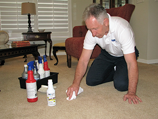 stan spot cleaning carpets